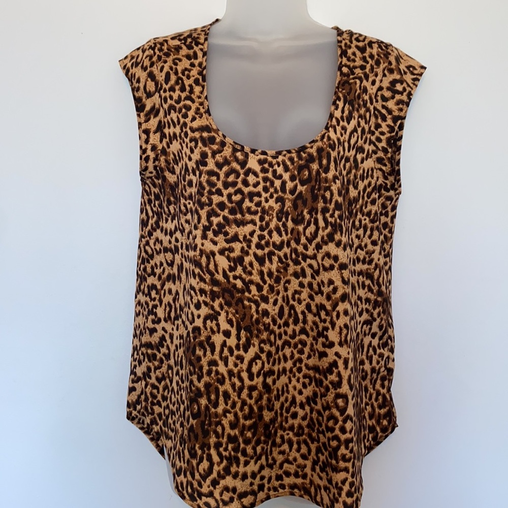 Daniel Rainn Leopard Scoop Neck Blouse